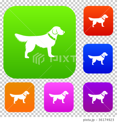 Dog set collection Dog set collection 36174923