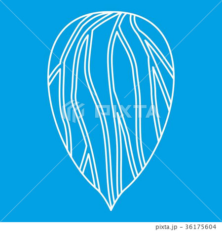 Apricot seed icon, outline style 36175604