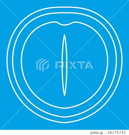 Macadamia nut icon, outline style Macadamia nut icon, outline style 36175742