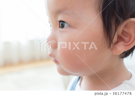 1 year old 1 year old 36177478