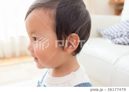 1 year old 1 year old 36177479