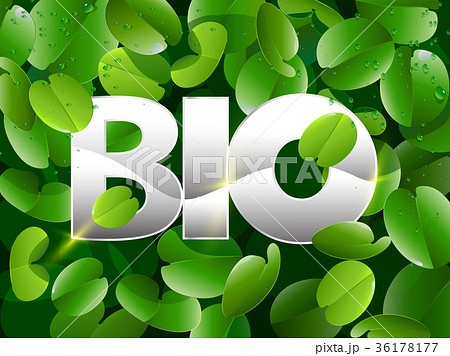 Bio Leaves BackgroundStock Vectors 36178177
