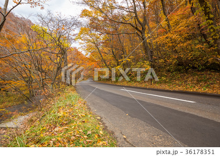 road along Oirase stream road along Oirase stream 36178351