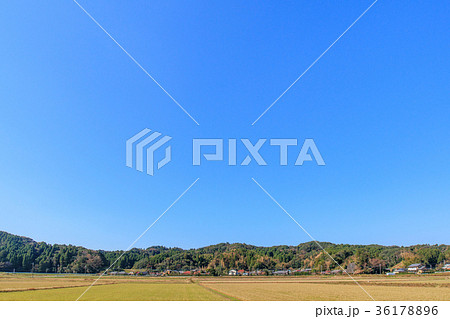 青空のいすみ市 36178896
