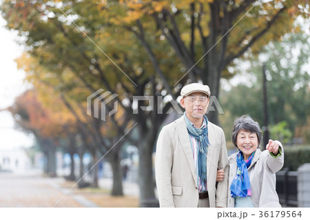 シニア オシドリ夫婦 紅葉 紅葉狩りの写真素材