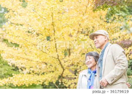 シニア オシドリ夫婦 紅葉 シニア オシドリ夫婦 紅葉 36179619