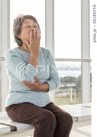 シニア　鼻炎　口臭　 36180358