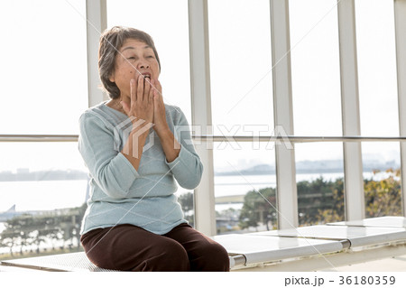 シニア　鼻炎　口臭　 36180359