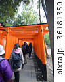 京都伏見稲荷 36181350