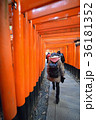 京都伏見稲荷 36181352