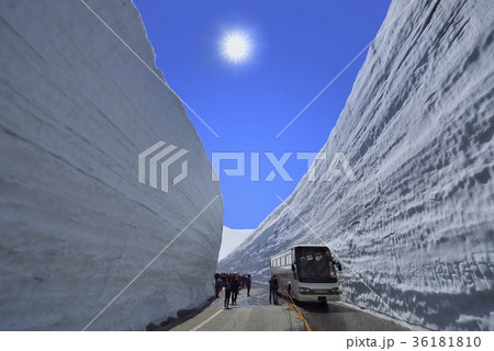 立山　雪の大谷 36181810