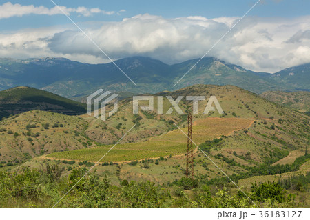 Beautiful vineyards in mountains of Crimea 36183127