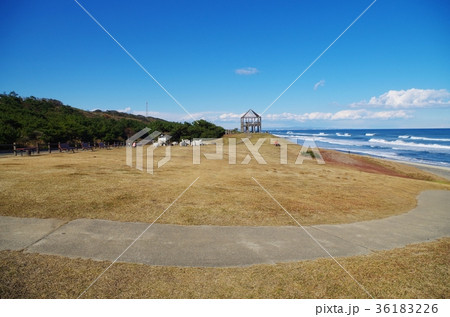 鹿島灘海浜公園の広場 36183226