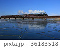 SL冬の湿原号 36183518