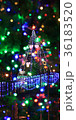 クリスマス 36183520