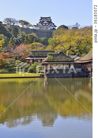 秋の彦根城玄宮園と天守（台風21号の爪痕） 36185072