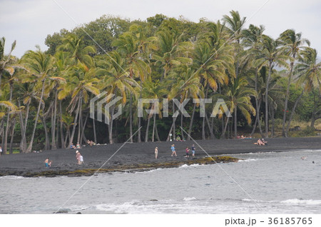 ハワイの旅黒砂海岸 ハワイの旅黒砂海岸 36185765