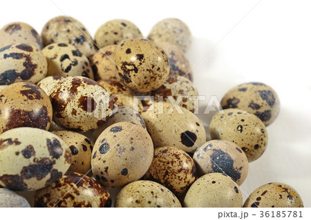 Quail eggs close up on a white Quail eggs close up on a white 36185781
