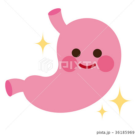 健康な胃　臓器　キャラクター 36185969