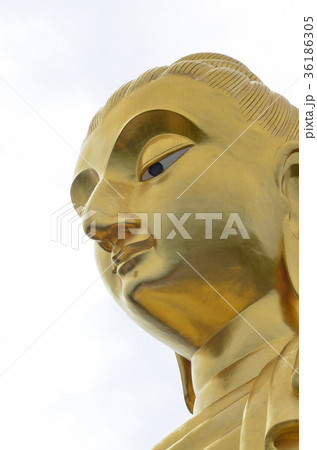 golden bhudda, isolated on white background. golden bhudda, isolated on white background. 36186305