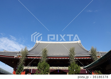 浅草寺 正月 浅草寺 正月 36186378