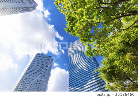 緑のあるオフィス街の風景 36186460