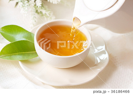 pouring hot black tea in a white tea cup  36186466