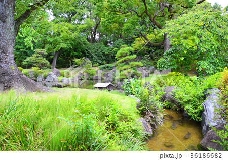 大阪　四天王寺の日本庭園 36186682