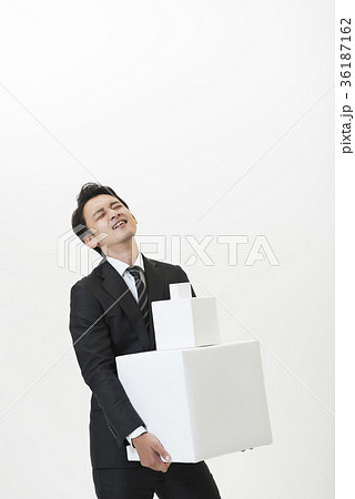 コンセプチュアルビジネス 36187162