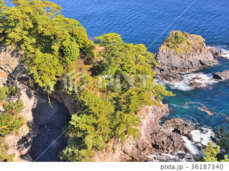 錦ヶ浦-18847 36187340