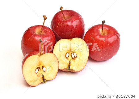 リンゴ（アルプス乙女） 36187604