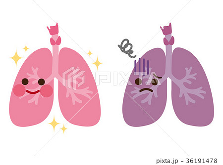 健康な肺 不健康な肺 臓器 キャラクターのイラスト素材