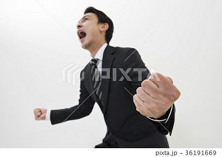 コンセプチュアルビジネス コンセプチュアルビジネス 36191669