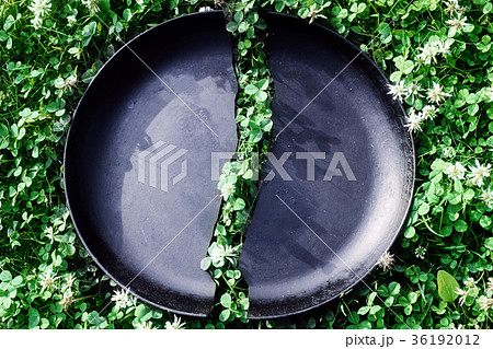 Cast-iron skillet in half 36192012