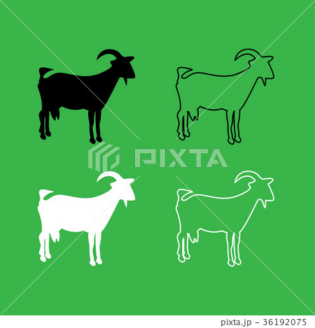 Goat icon Black and white color set Goat icon Black and white color set 36192075