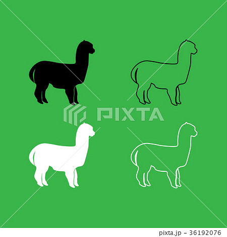 Alpaca icon  Black and white color set 36192076