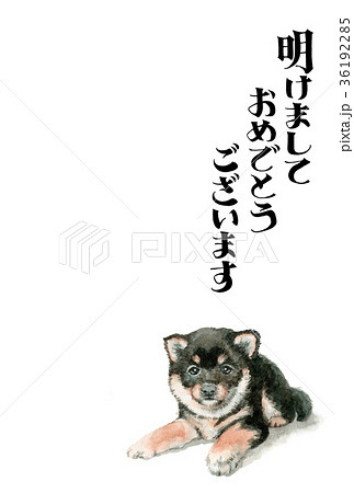 犬の賀詞入り年賀ハガキ素材黒柴犬タテ型のイラスト素材