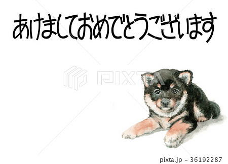 犬の賀詞入り年賀ハガキ素材黒柴犬ヨコ型のイラスト素材