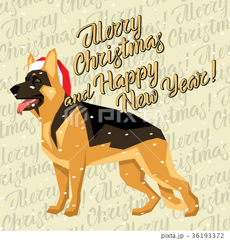 Vector Dogs Collection 36193372