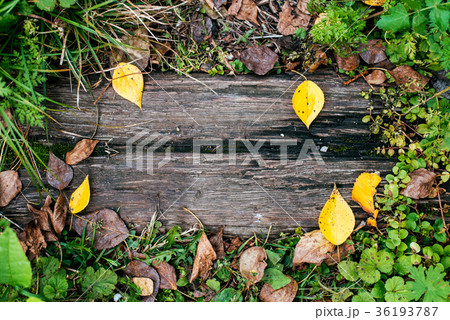 A beautiful wooden background, a leaf of a yellow A beautiful wooden background, a leaf of a yellow 36193787