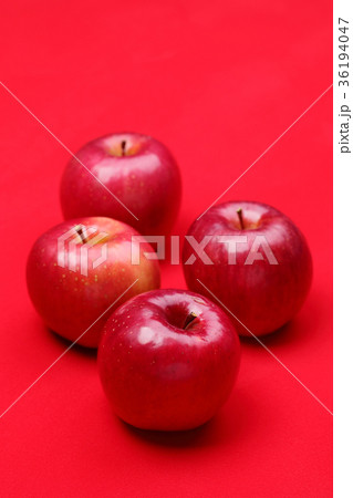 信州りんご　サンふじ 36194047