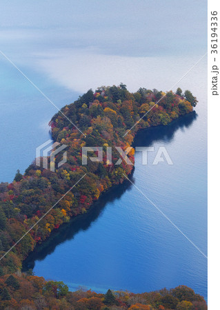 紅葉見頃 八丁出島の紅葉 中禅寺湖 の写真素材