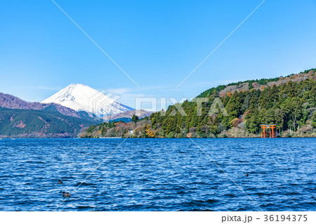 箱根、芦の湖、芦ノ湖、秋 36194375