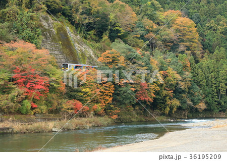 水郡線 色とりどりな紅葉 の写真素材
