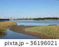 谷津干潟　ラムサール条約登録地 36196021