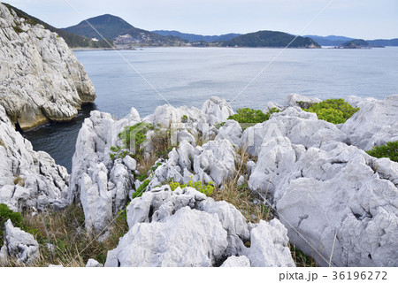 白崎海洋公園　展望台からの眺望（和歌山県日高郡由良町） 36196272