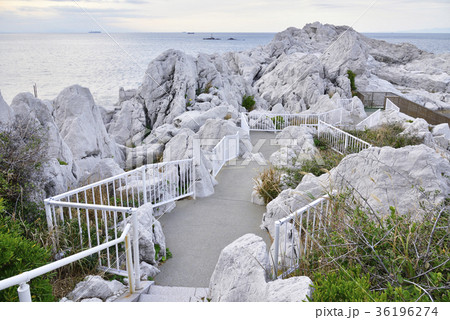 白崎海洋公園　展望台遊歩道（和歌山県日高郡由良町） 36196274
