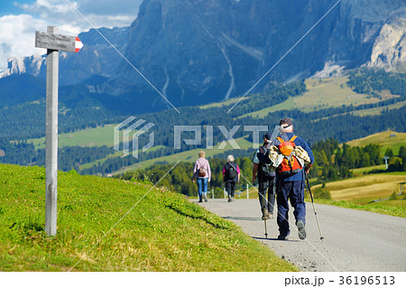 Tourists hiking in Seiser Alm, the largest high altitude Alpine meadow in Europe 36196513