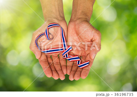 Hands holding heart shaped Thai color ribbon Hands holding heart shaped Thai color ribbon 36196735