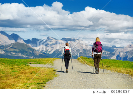 Tourists hiking in Seiser Alm, the largest high altitude Alpine meadow in Europe Tourists hiking in Seiser Alm, the largest high altitude Alpine meadow in Europe 36196857